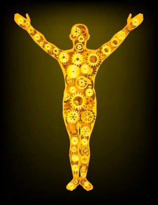 Rather than being a simple motor disease, HD is a systemic disease that affects many different parts of the body and aspects of life.