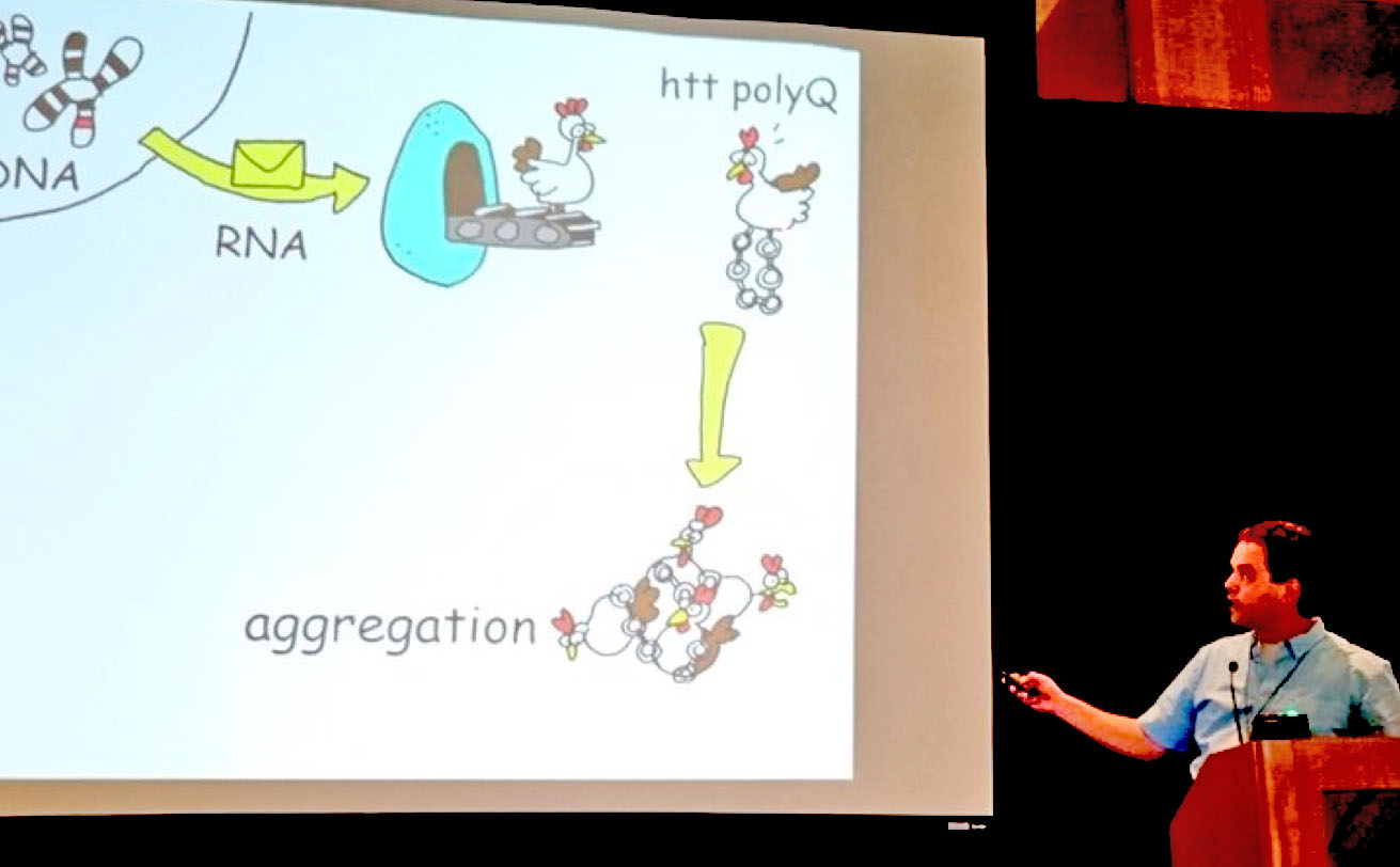 Eric Reitz used home-drawn chicken cartoons to explain his work on cellular garbage clearance in HD