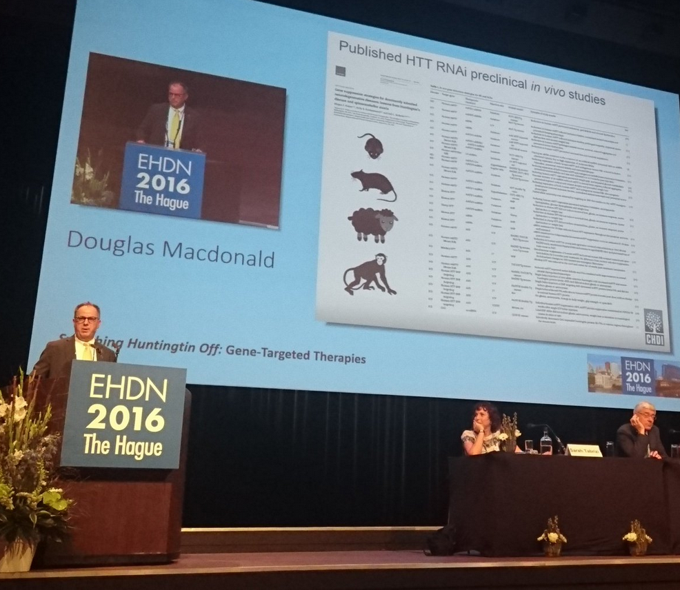 Dr Doug Macdonald pointed out the large number of huntingtin-lowering studies done in HD model animals. Now we are testing these drugs in real patients!