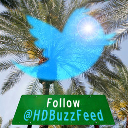 Follow @HDBuzzFeed on Twitter for live updates from the Conference  