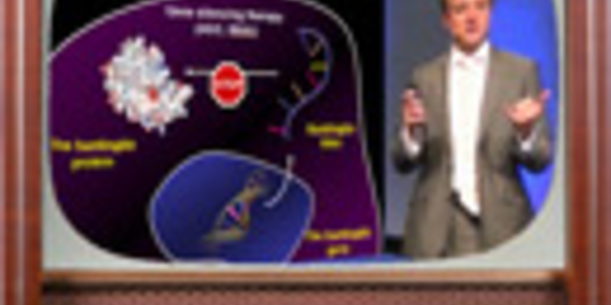 Video: What’s new in Huntington's disease research 2012