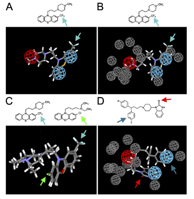 Molecular modeling experiments can help find out which parts of a drug are most important  