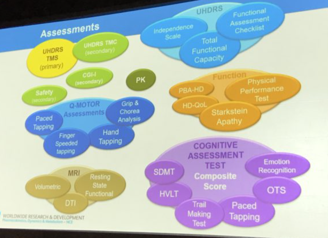 Slide showing all the assessments patients underwent in the Amaryllis study  