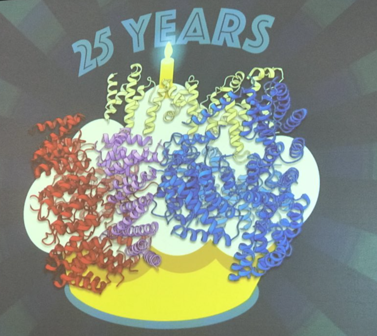The structure of the huntingtin protein, presented by Dr Kochanek as a birthday cake for the 25th anniversary of the HD gene discovery  