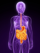 Not all in your head: digestive problems in HD