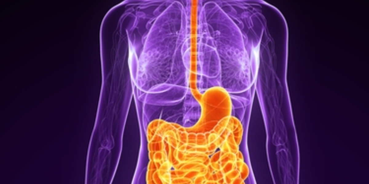 Not all in your head: digestive problems in HD