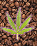 Caffeine, cannabis and caution