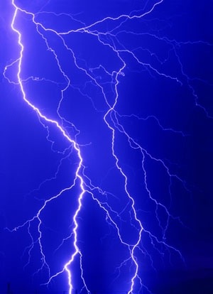 It's hoped that KMO inhibitors may be able to protect cells against damage from too much electrical or chemical stimulation ā known as excitotoxic death