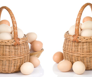 Your eggs: don't put them all in one basket. Many different approaches to treating HD are being researched, so if any one fails there are lots of other options.