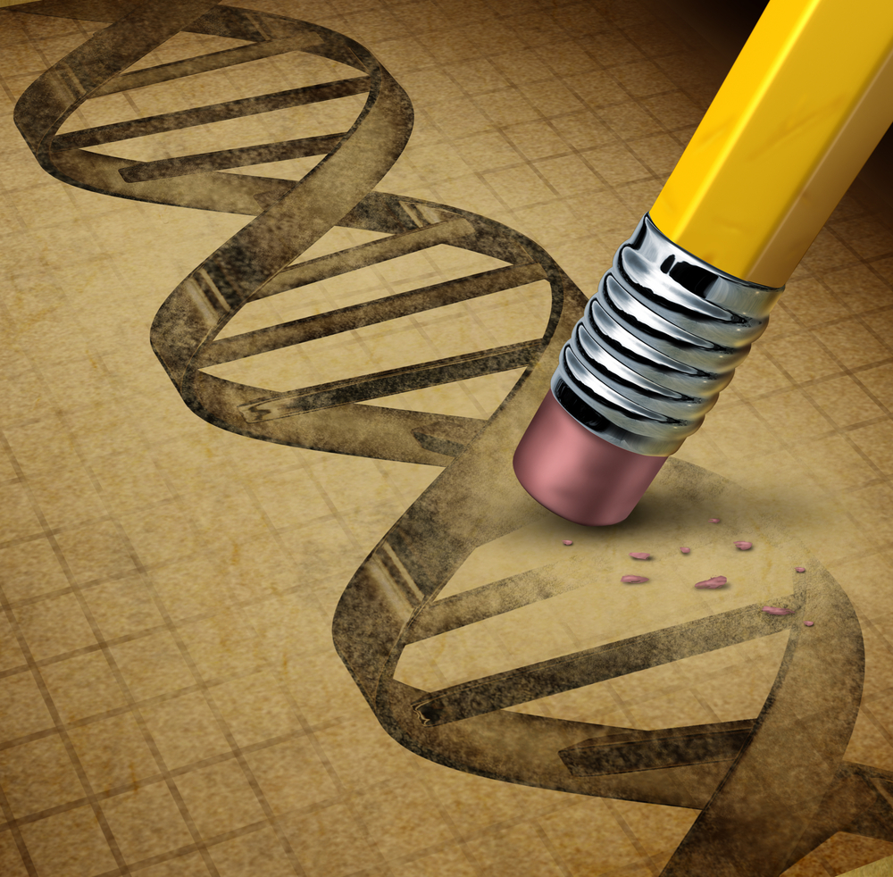 The processes by which our cells repair and maintain our DNA code are attractive avenues for developing new Huntington's disease therapies.