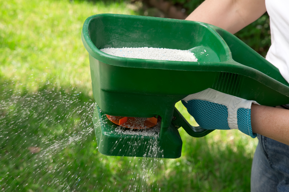 Neurotrophic factors, like BDNF, act as growth-promoting fertilizers in the brain.