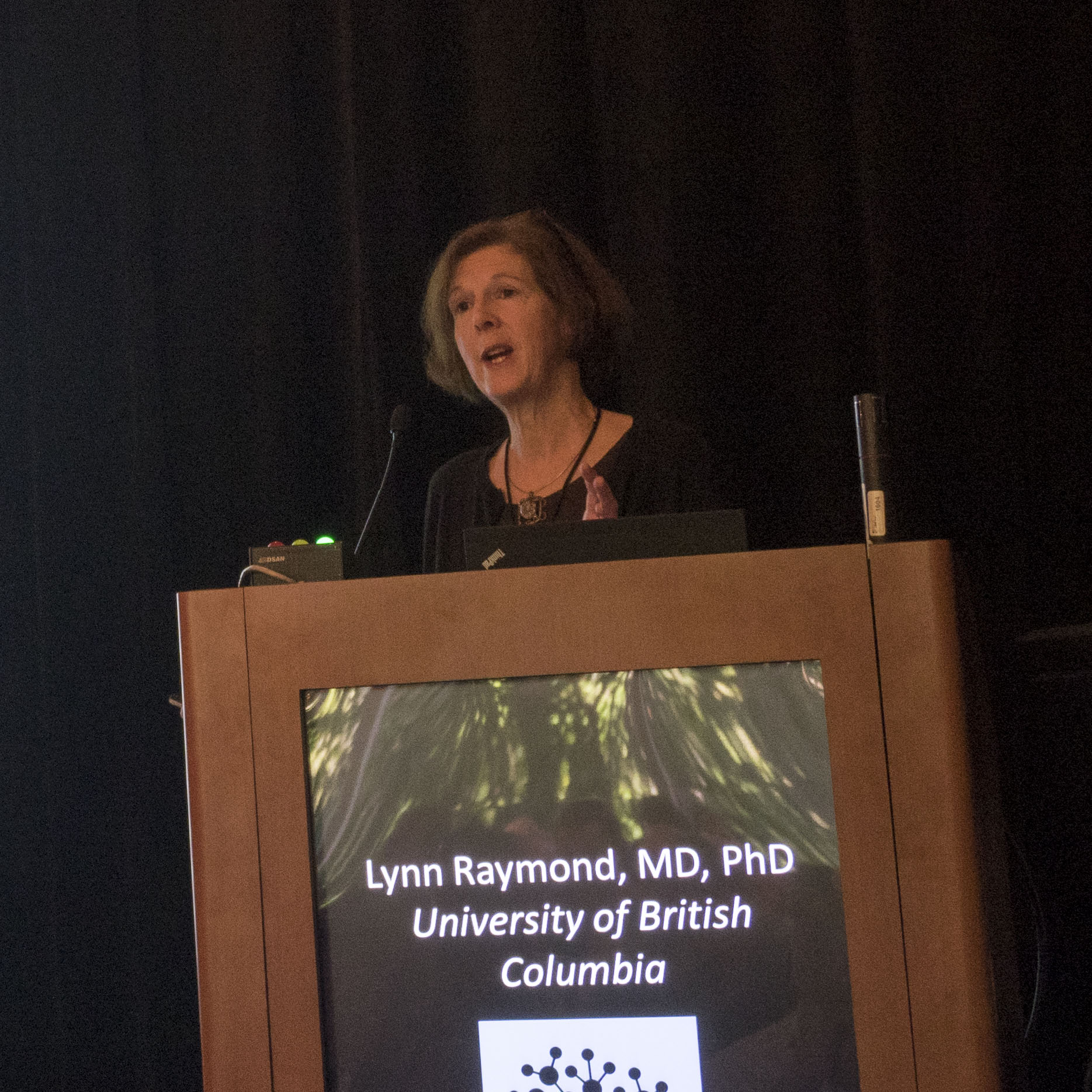 Lynn Raymond's cortical-striatal co-culture setup provides a means of testing HD drugs
