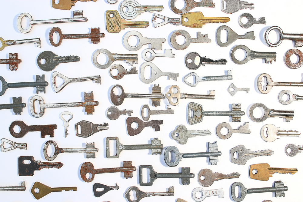 The surface of a virus is coated in molecules that act like keys to trick a cell into unlocking its doors and letting the virus in.