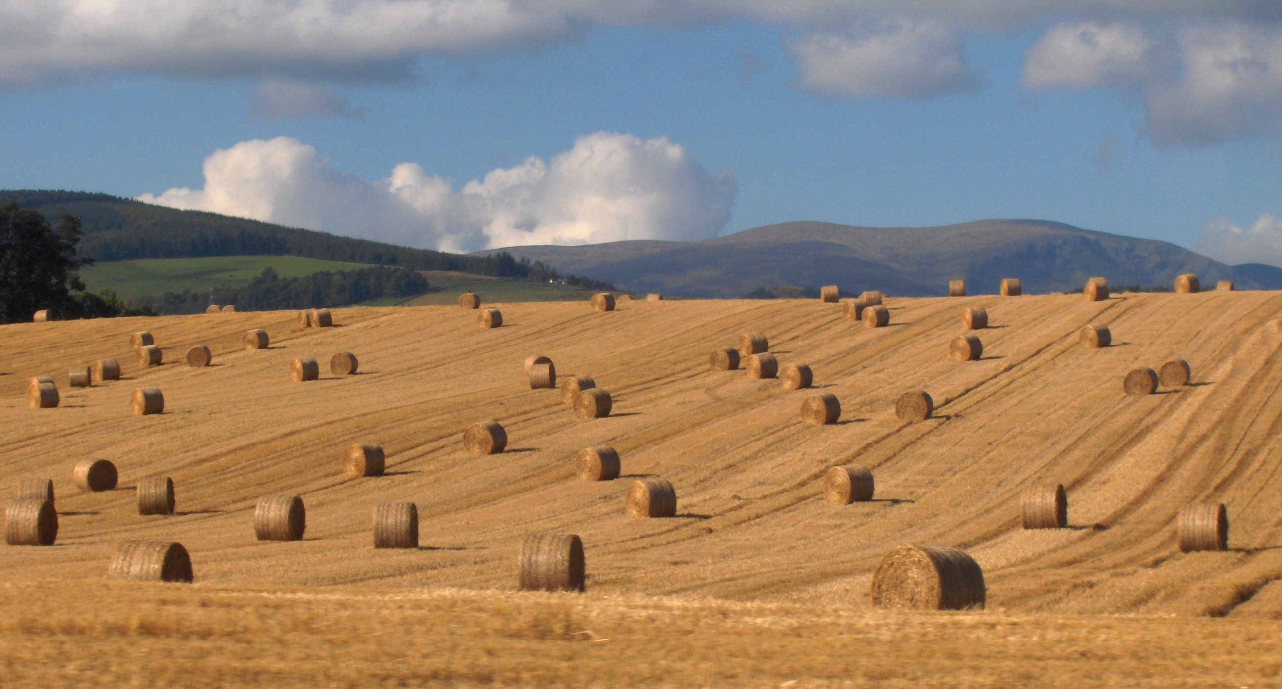 With whole exome sequencing, scientists can reduce how far they have to search for rare mutations - from the whole field to focusing only on the bales