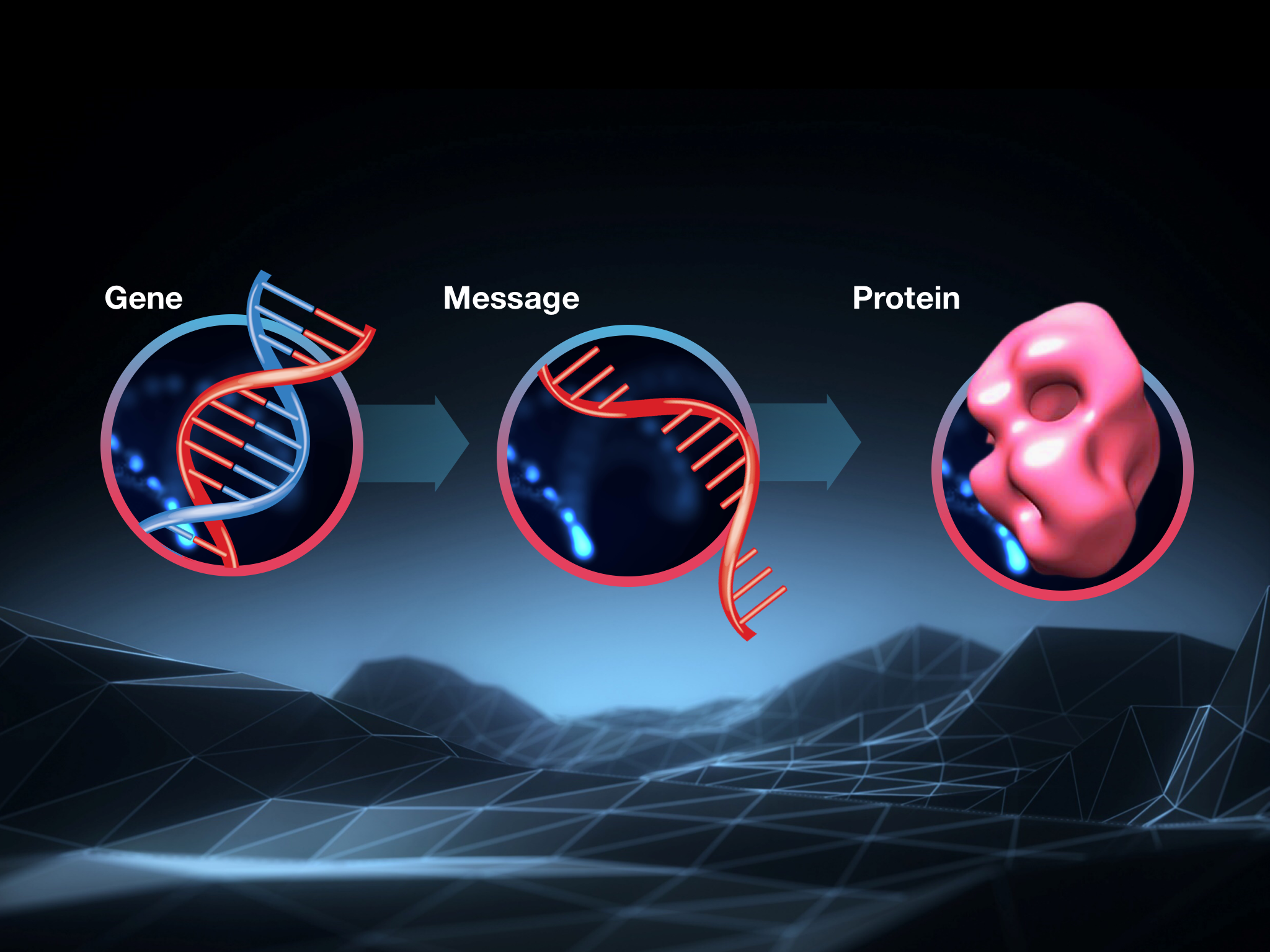 The link between DNA, RNA and Protein - everything you need to know about molecular biology.
