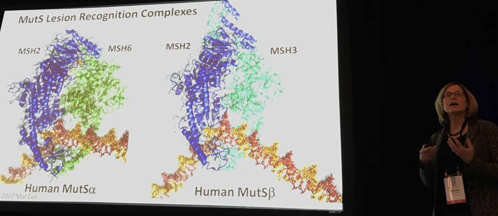 Loreena Beese shows a model of one of the protein machines that looks after DNA and is linked to faster or slower HD progression