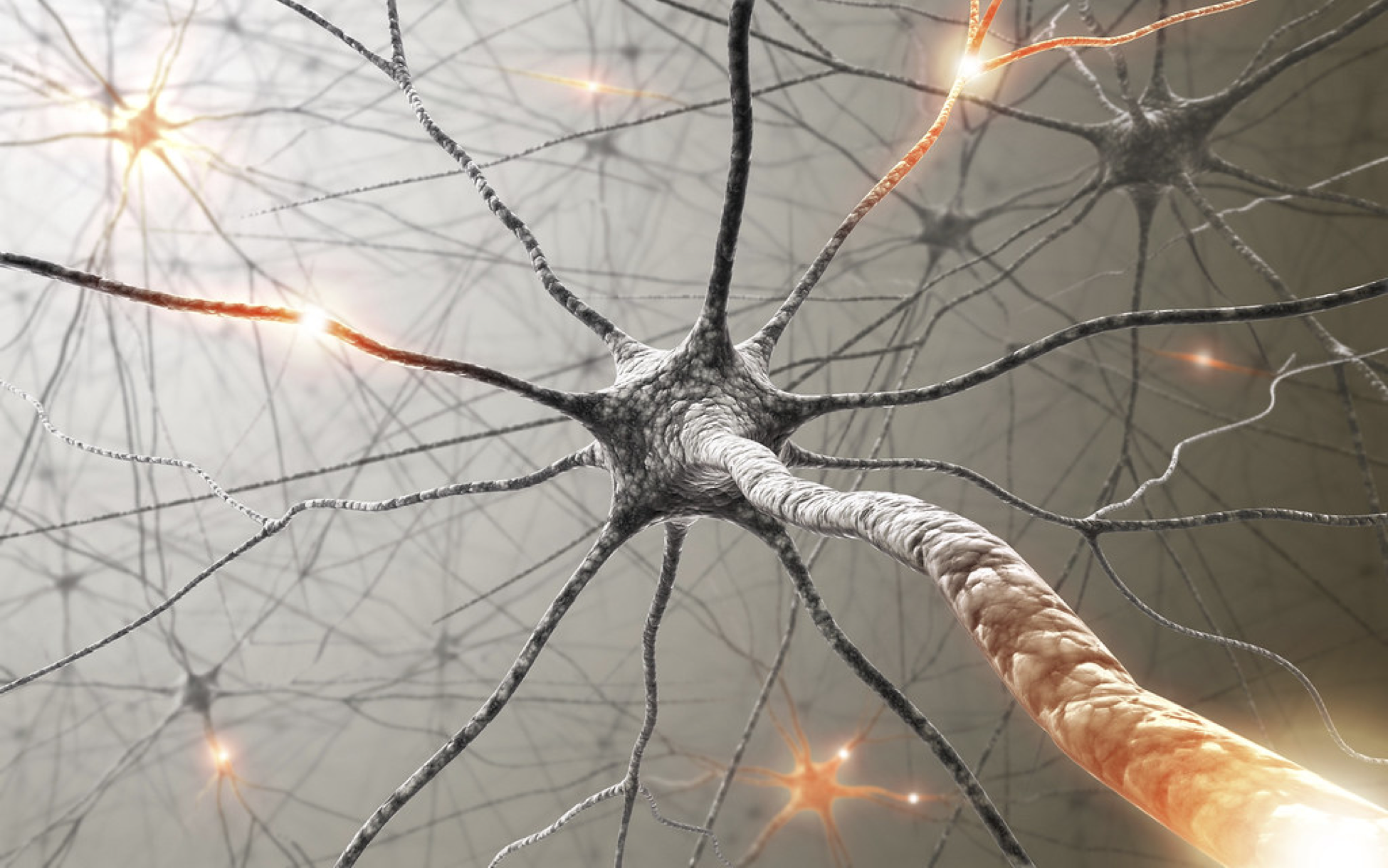 Genetic screens in the central nervous system are a new frontier in medical science.  