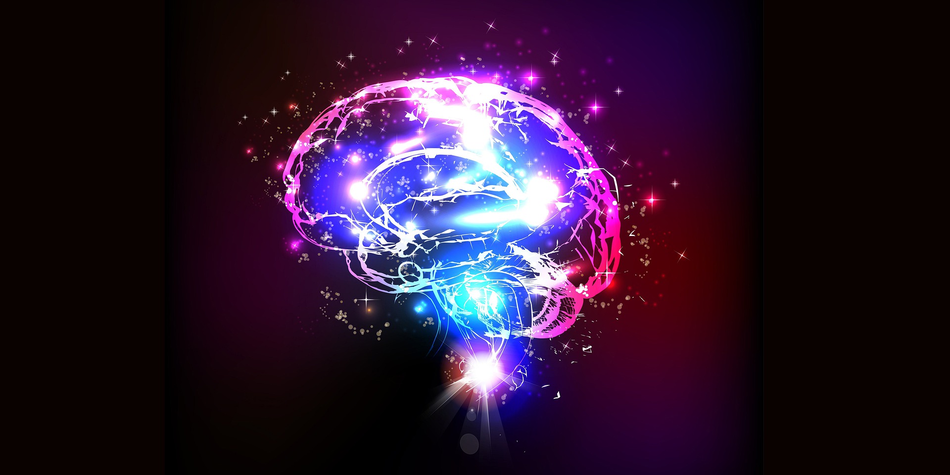 A PET ligand is used to make different regions or features inside the body or brain light up