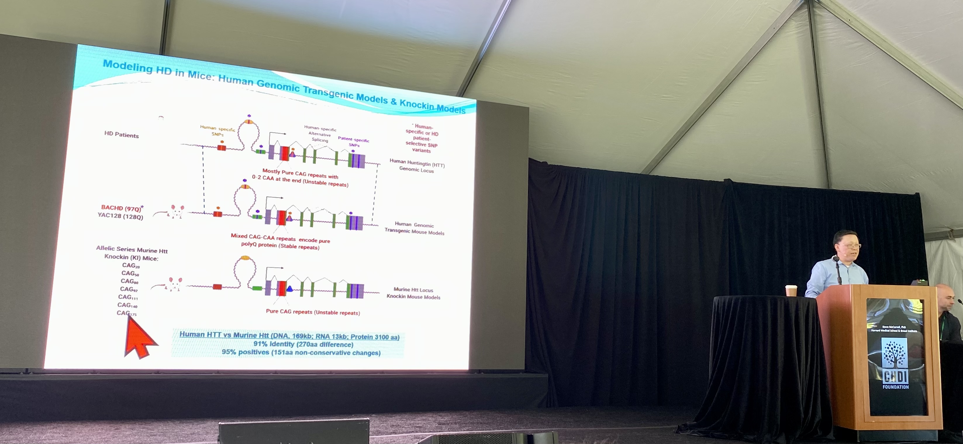 Dr.Yang outlines the huge number of mouse models of HD available  