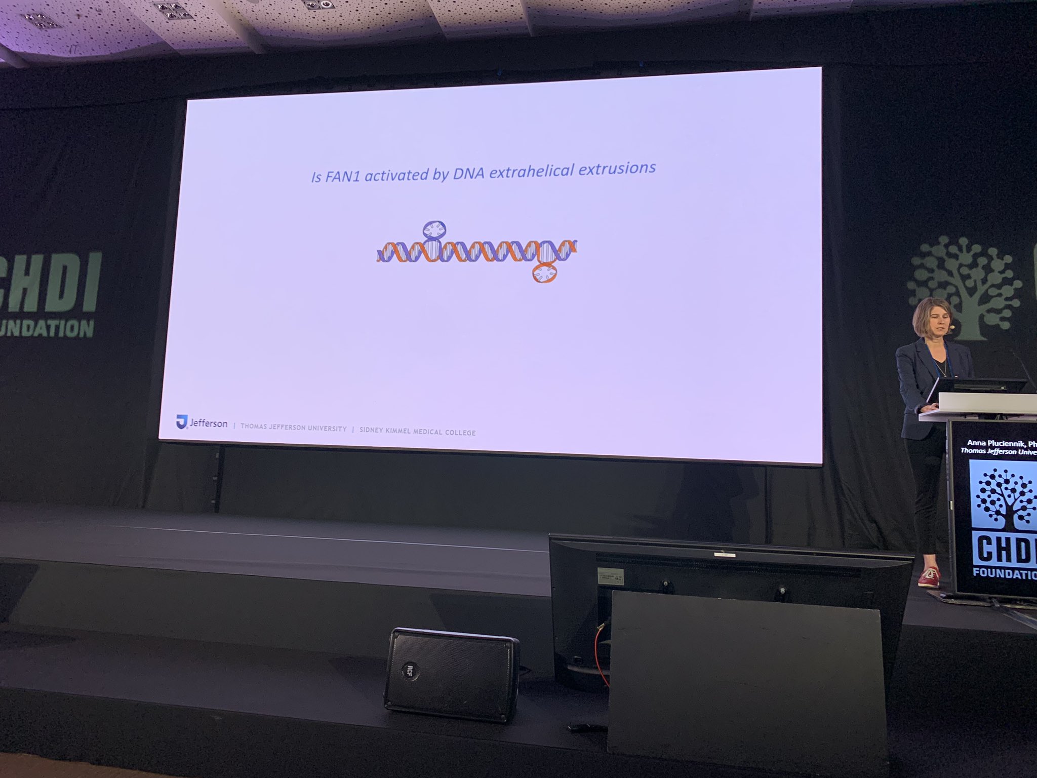 Dr. Anna Pluciennik showing DNA extrusions. They make the DNA look a bit weird! Mismatch repair proteins help to fix it.