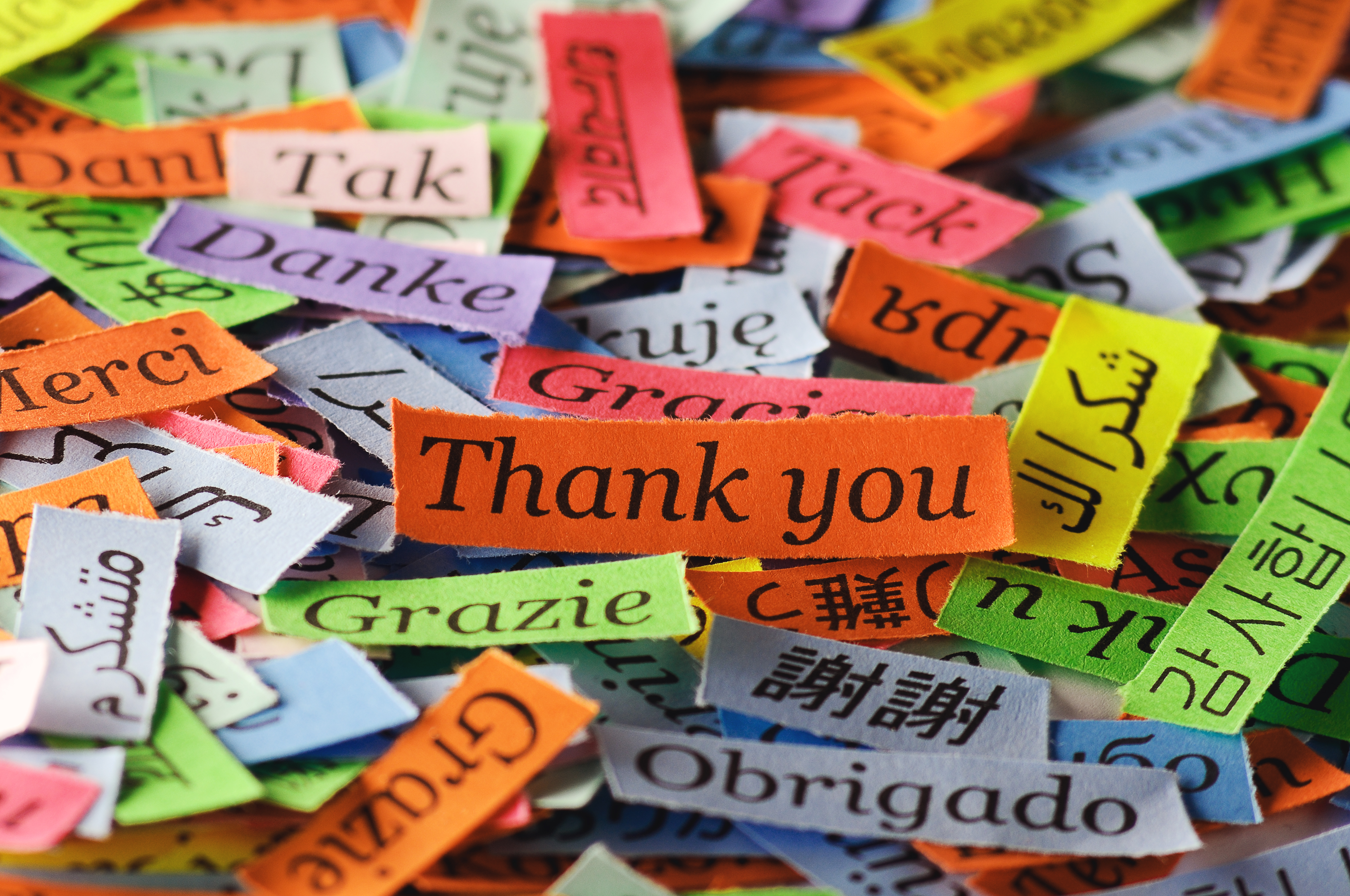 On Brain Donation Awareness Day, we send our deepest THANK YOU to all who have selflessly donated brains to advance HD research.