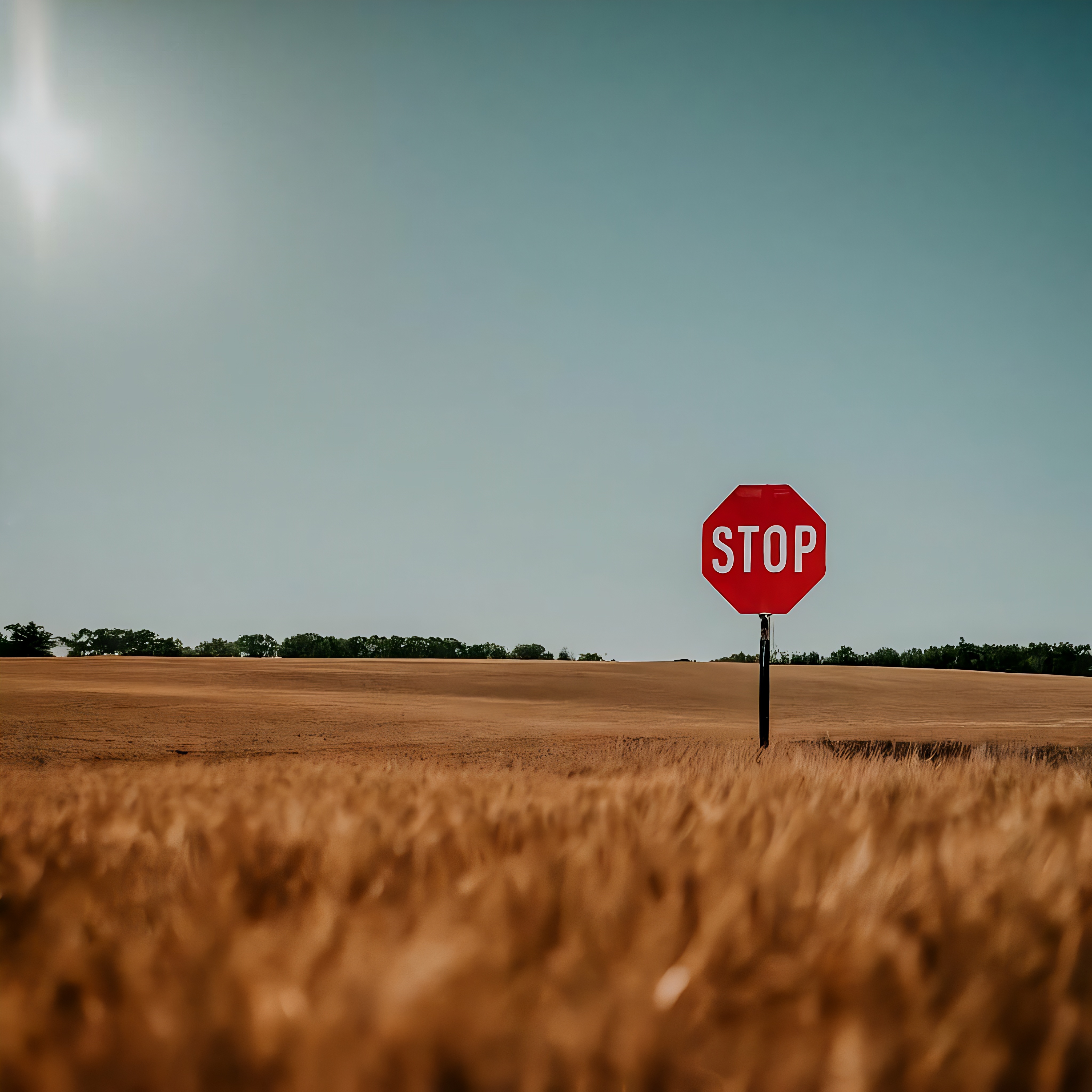 Splice modulators, like branaplam and risdiplam, work to lower protein levels by adding a stop sign in the middle of a genetic message. The cell recognizes that the stop sign is out of place, that the message doesnât make sense, and doesnât bother turning the message into protein.