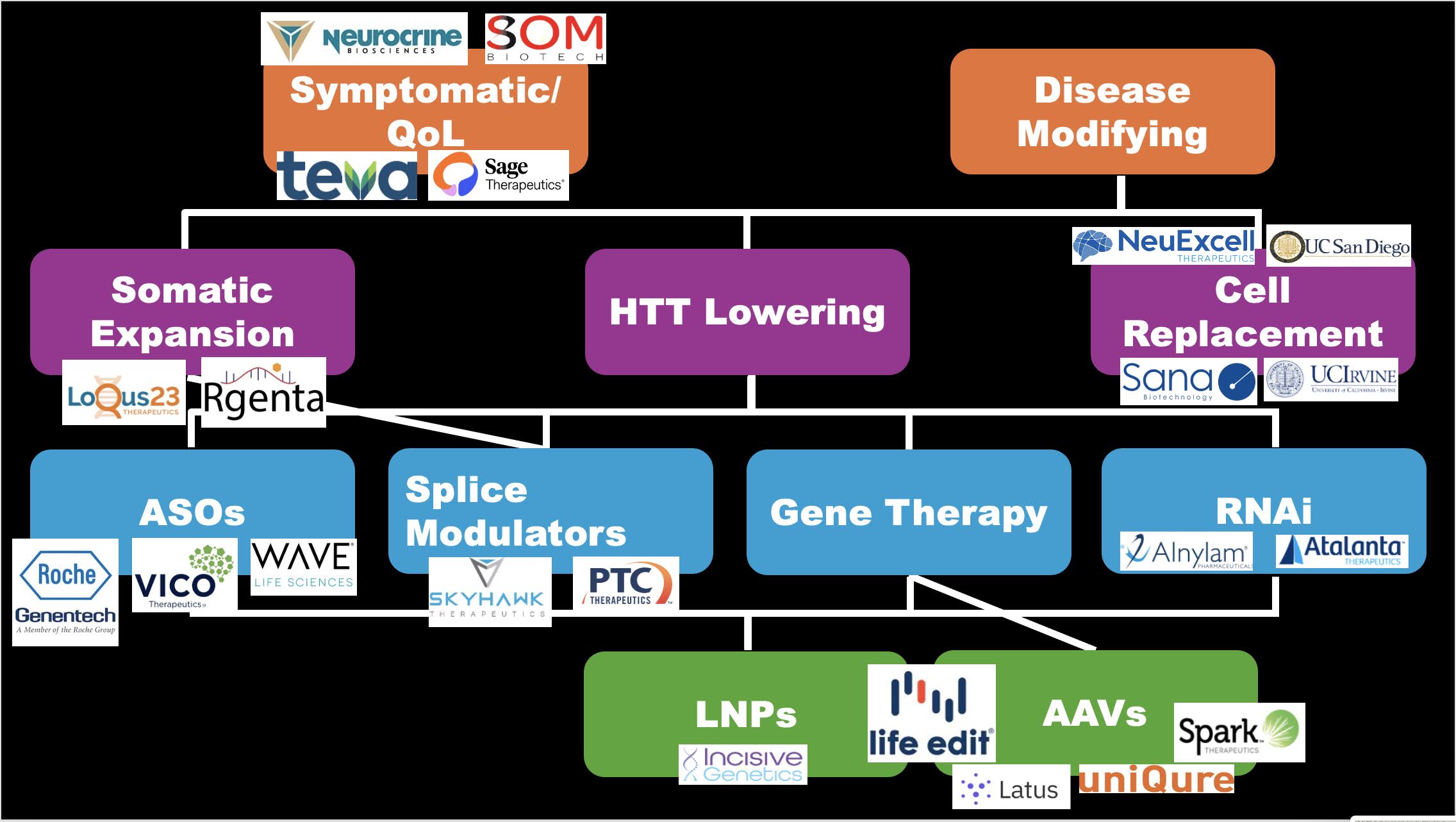 In Sarah's talk, she shared an overview of therapeutic strategies for Huntington's disease, summarized in this slide overlayed with the companies working in these areas.