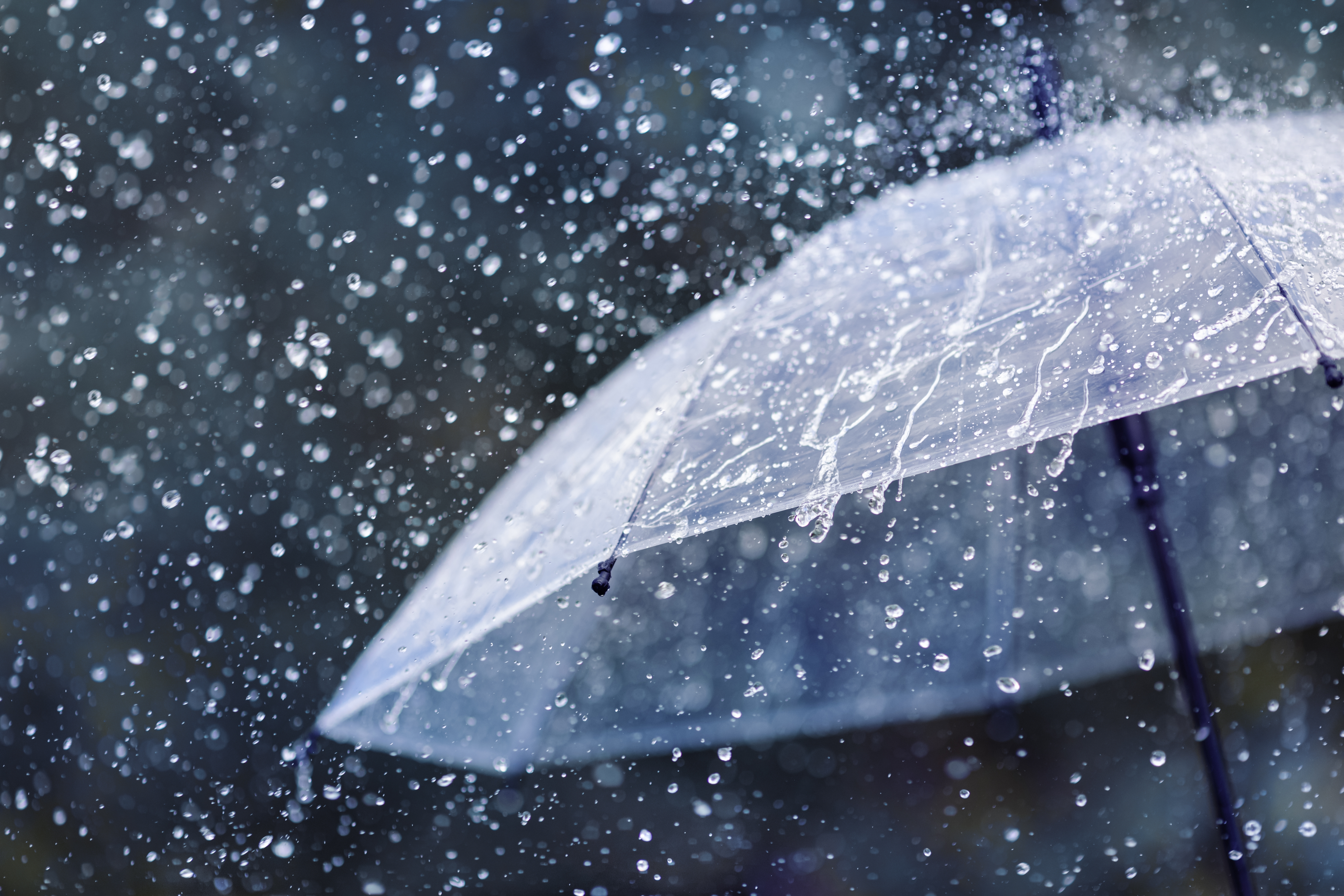 Sometimes when it rains, it pours! We have had so many exciting updates from different Huntington's disease clinical trials this year.