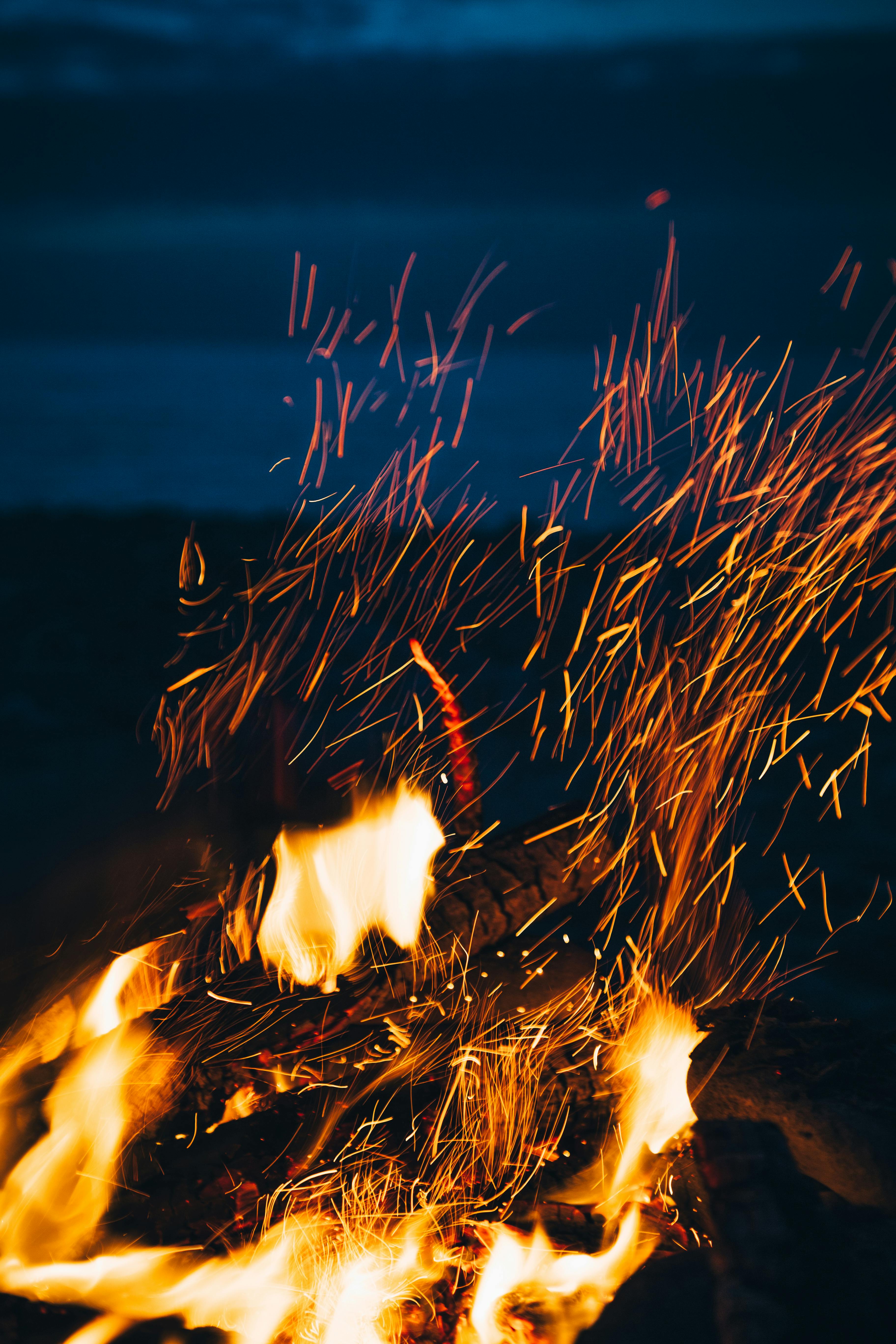 Like a Phoenix rising from the ashes, 2025 is infused with renewed hope, the likes of which the Huntington's disease community hasn't experienced in decades.