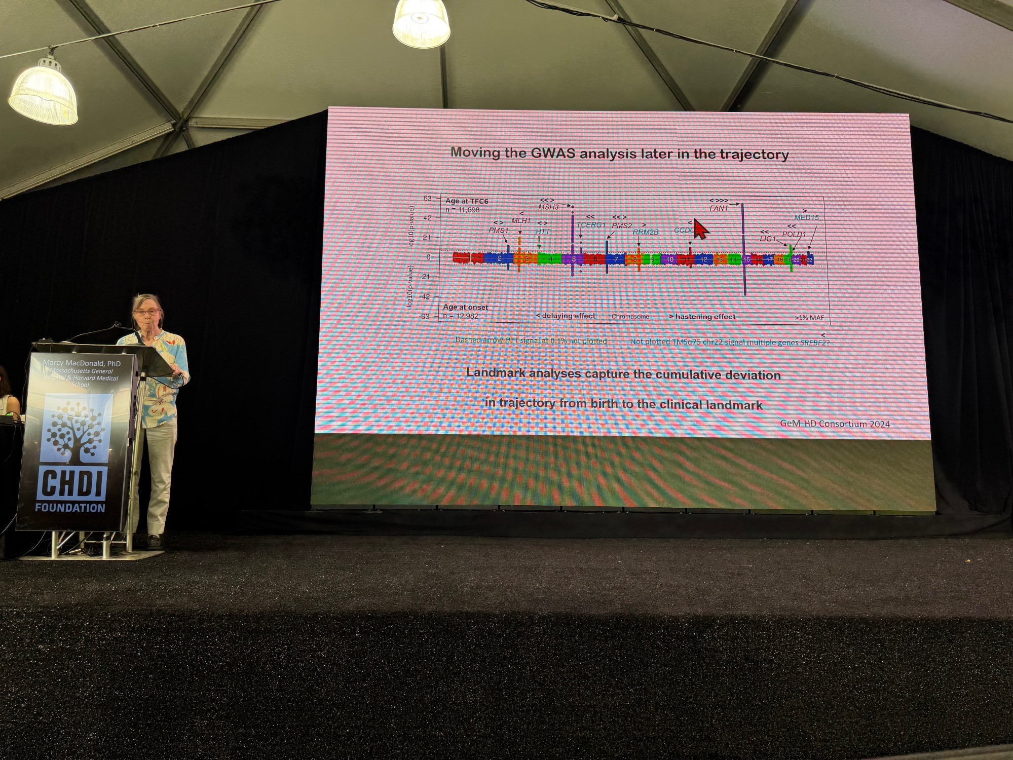 Marcy MacDonald shared an amazing talk discussing genetic modifiers we don't hear as much about. There is almost an equal number of modifiers that don't influence mismatch repair, shown in blue on this slide. These really warrant further study to figure out how they influence when HD symptoms begin.