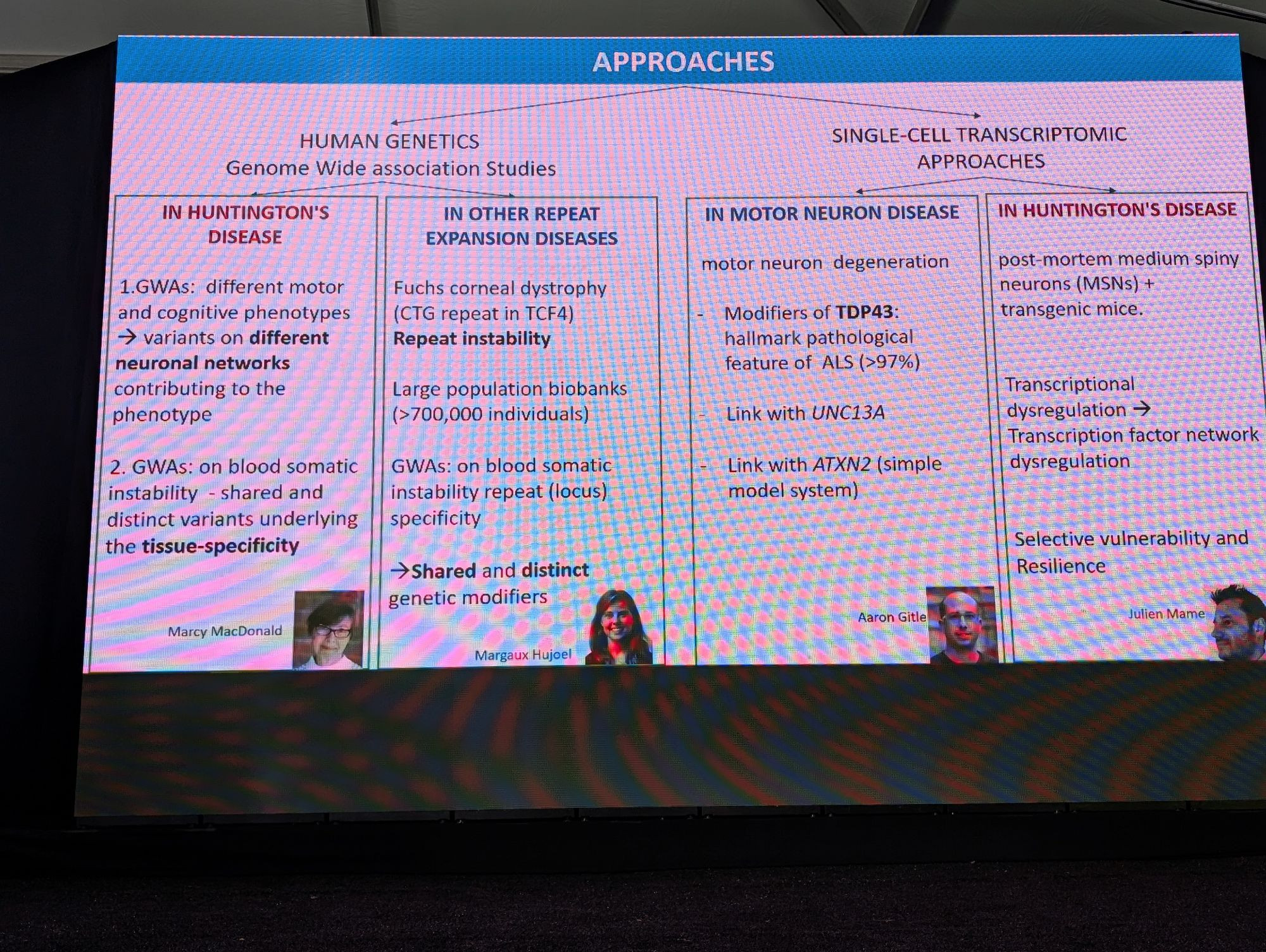 Day 2 of the conference was all about advancing genetic modifiers of disease toward therapeutics. The introduction provided a nice snapshot of some of the talks.