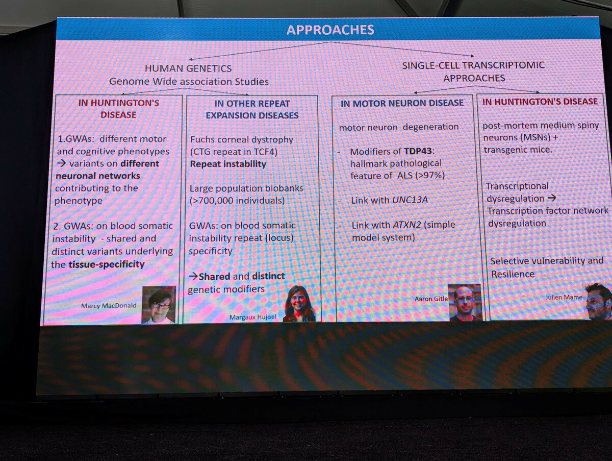 Day 2 of the conference was all about advancing genetic modifiers of disease toward therapeutics. The introduction provided a nice snapshot of some of the talks.   