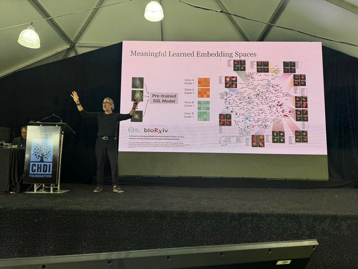 Computers, artificial intelligence, and machine learning tools help us get a ton of information about different Huntington's disease systems. Ajamete Kaykas shared this web of knowledge, which is from analyses from just one cell line - wild!!  