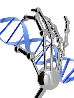 Zinc fingers can be designed to stick to any DNA sequence we want. They don't really look like a robotic hand, though.  