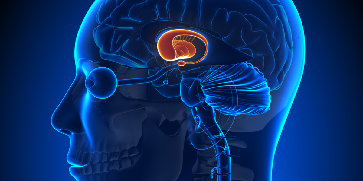 The brain in Huntington's disease: greater than the sum of its parts?