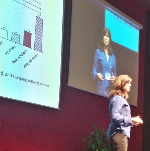 Leslie Thompson of UC Irvine was among today's presenters. Her team studies the mutant huntingtin protein and ways to reduce the harm it causes  