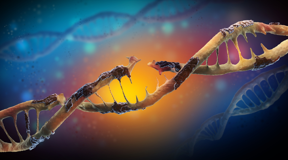 DNA damage is a physical change to the DNA, like a break in the twisting ladder, or some biological goo that's stuck to the code  