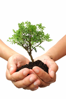Planting trees together: The 2016 Huntington's Disease Society of America Convention