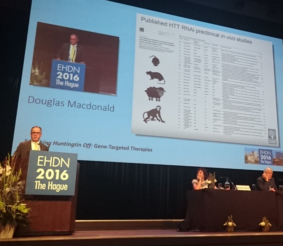 Dr Doug Macdonald pointed out the large number of huntingtin-lowering studies done in HD model animals. Now we are testing these drugs in real patients!  