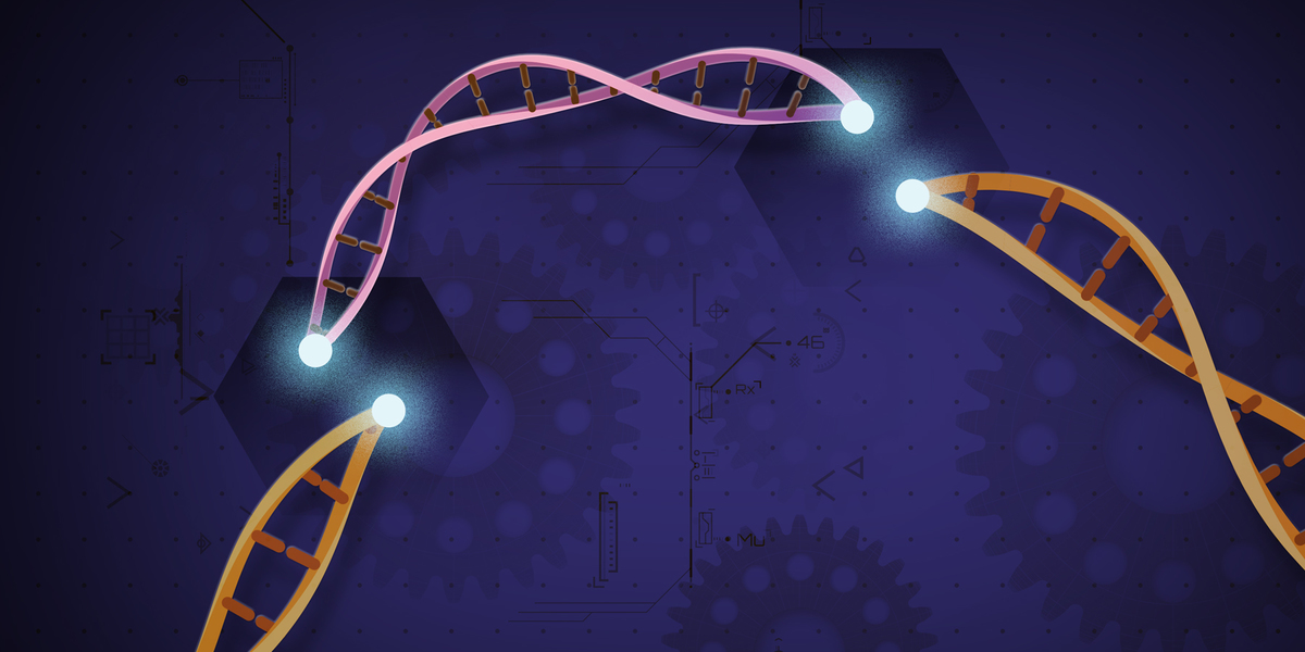 Zalecana ostrożność przy stosowaniu technologii edycji genów CRISPR
