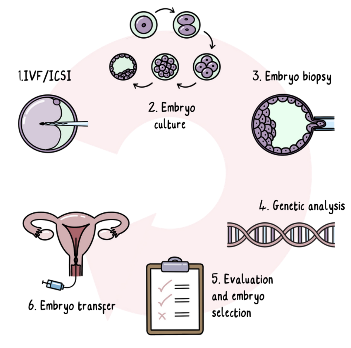 How PGT (preimplantation genetic testing) works  