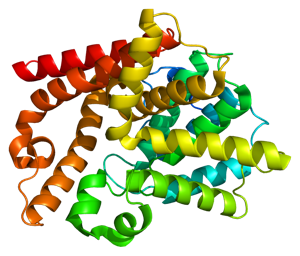 Phosphodiesterase inhibitors: new HD drugs entering trials soon