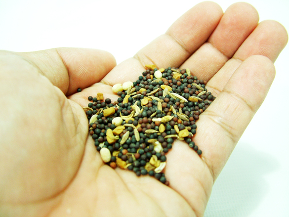 A Few Bad Seeds: Using Brain Fluid to Grow Clumps in Brain Cells