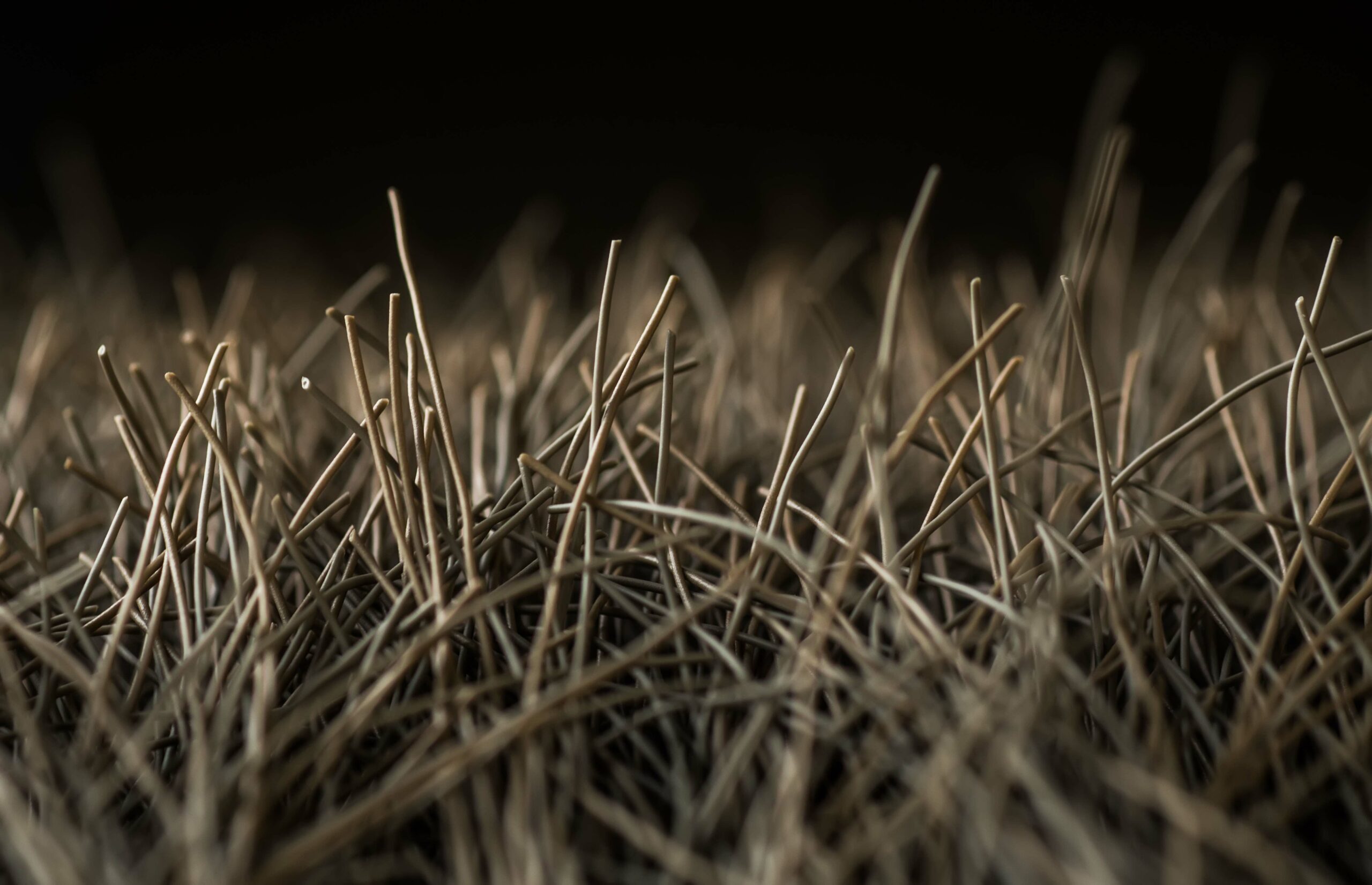 New study reveals a potential HD biomarker