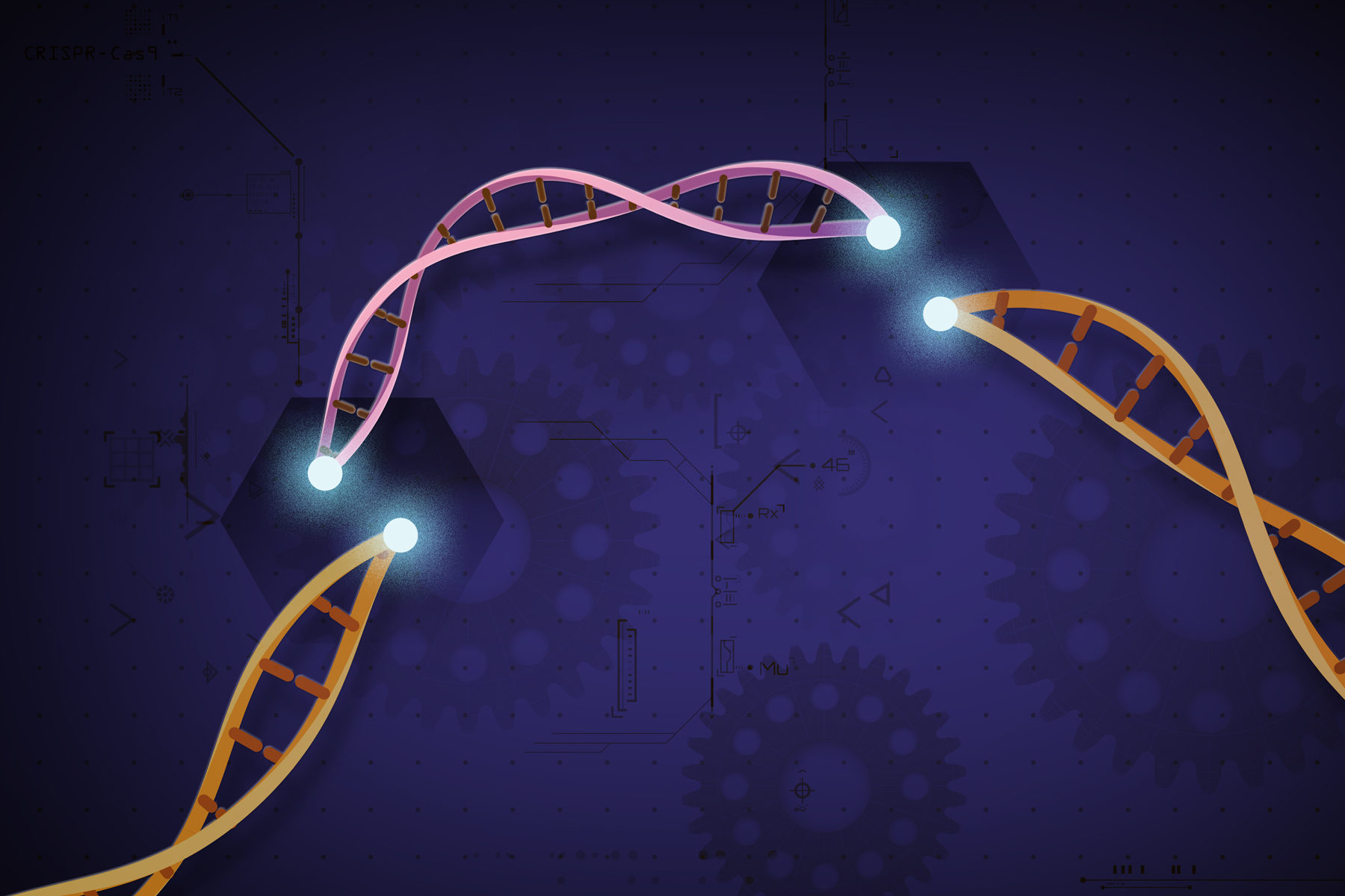Caution urged for the use of gene-editing technology CRISPR