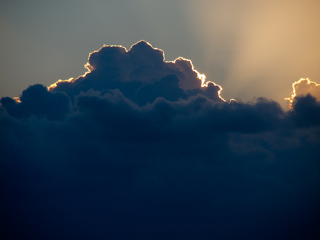Finding the silver lining: an update on the Roche GENERATION-HD1 trial data