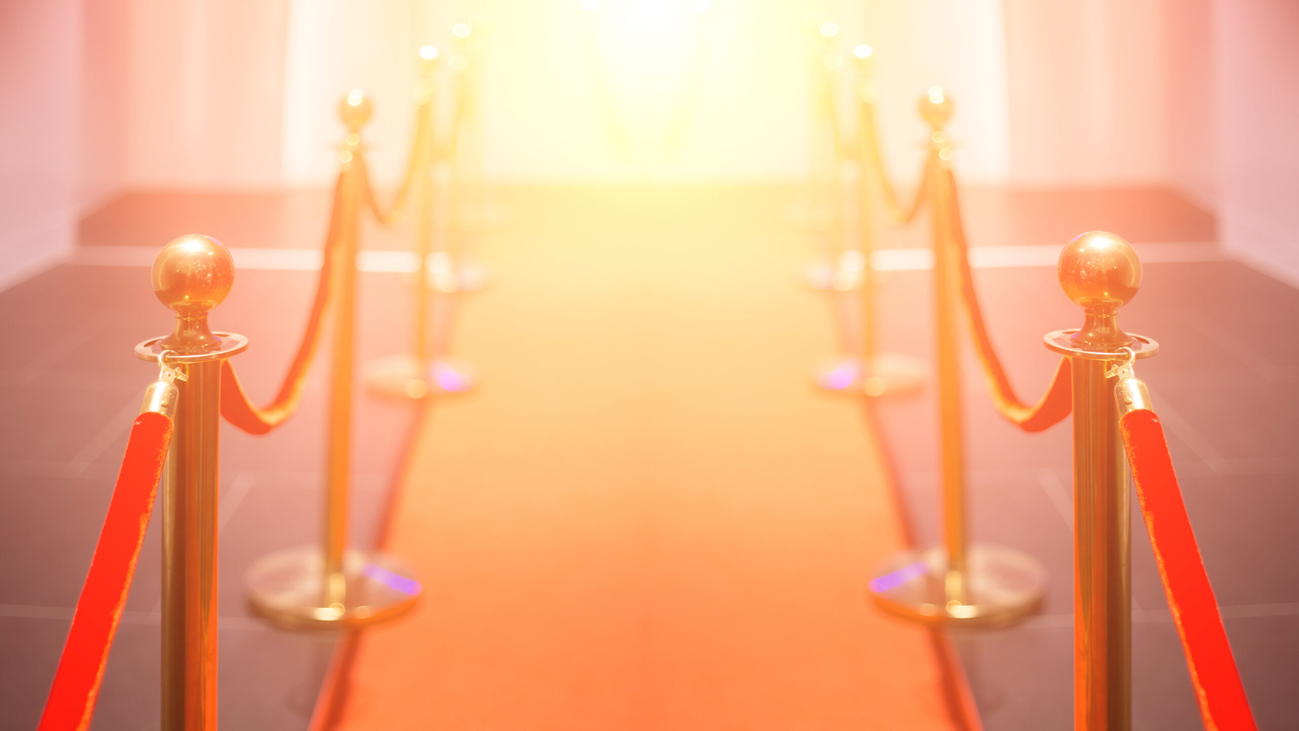 The VIP section: velvet ropes for the brain and how to get in