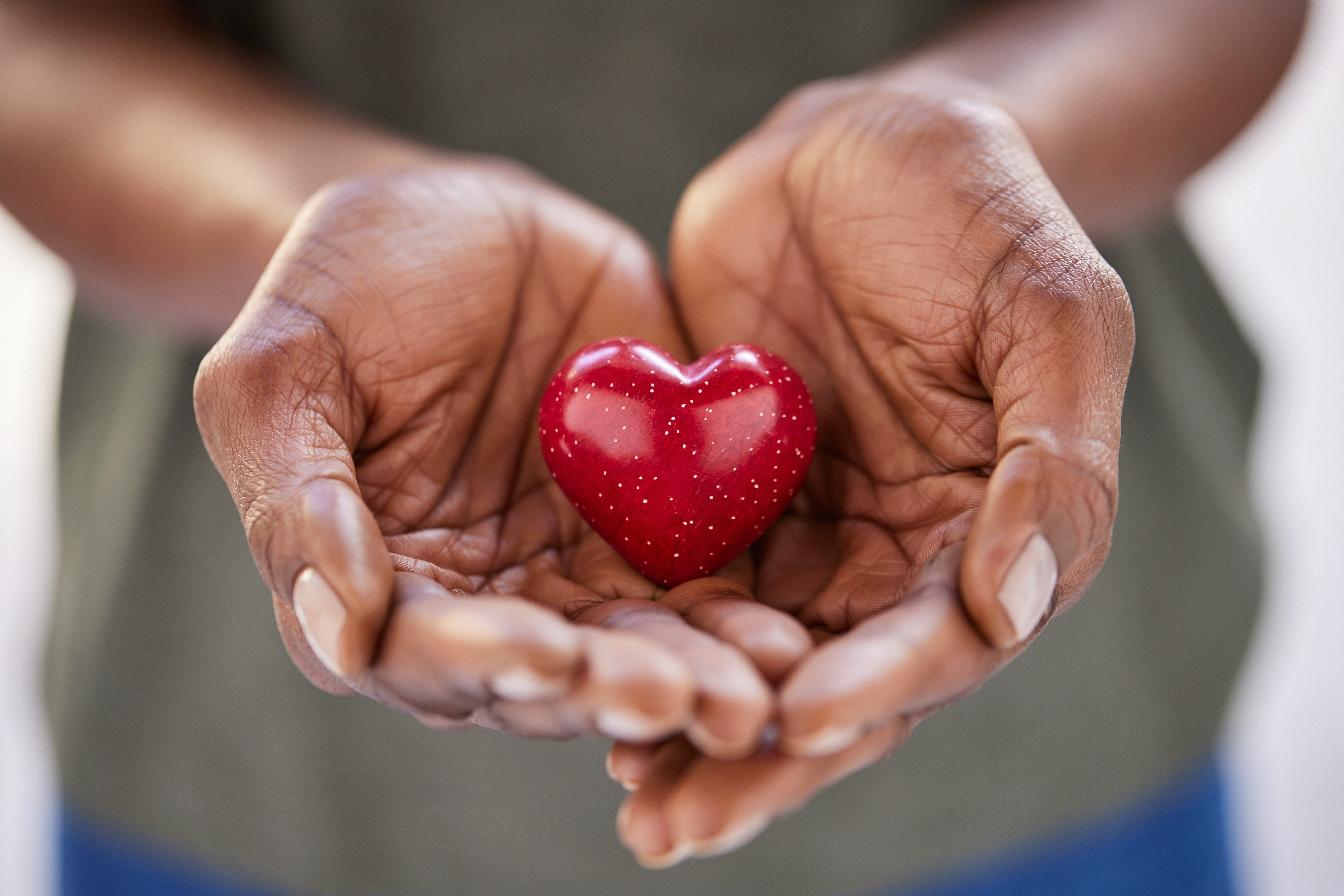 Giving Thanks to the Huntington's Disease Family Community for Advancing Research