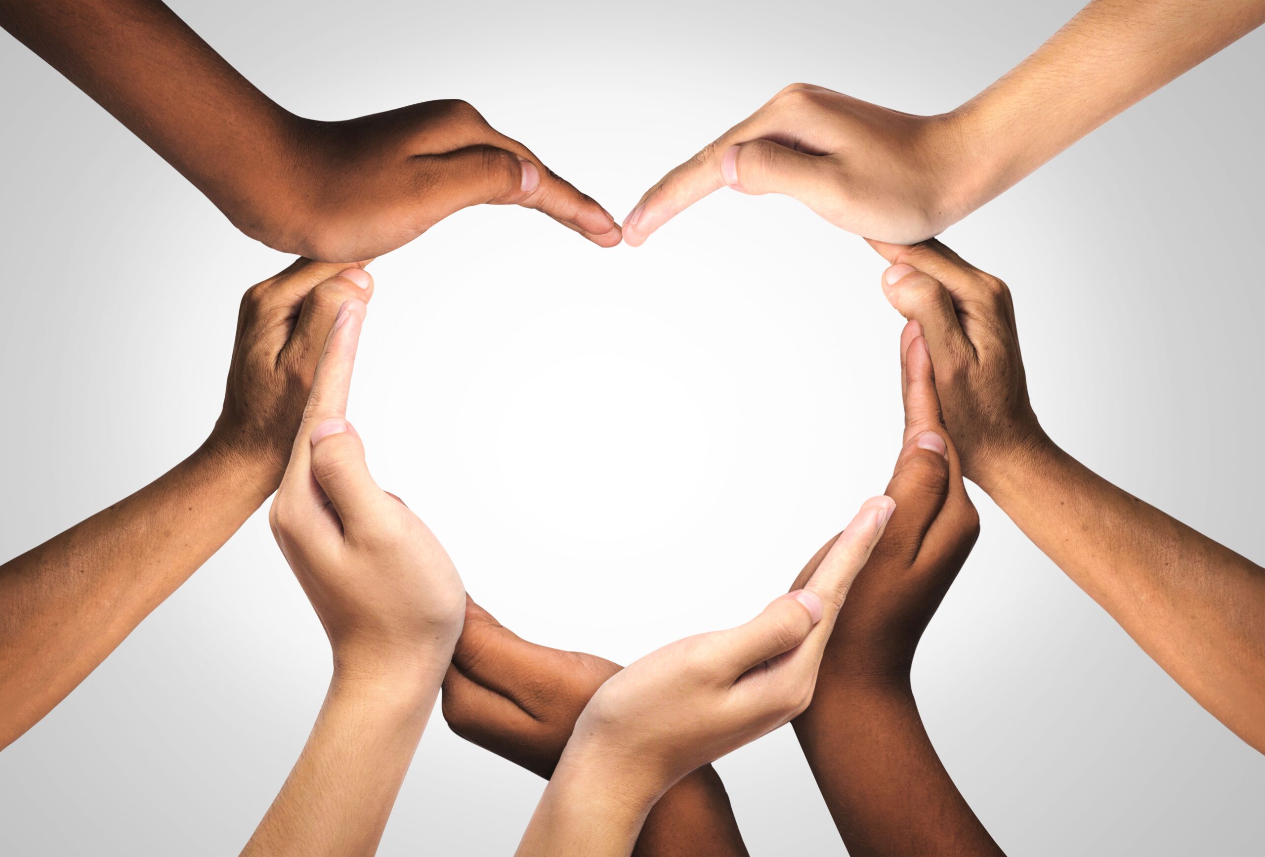 This Gratitude Day, HDBuzz Is Grateful For The Partnership Between HD Families And Scientists