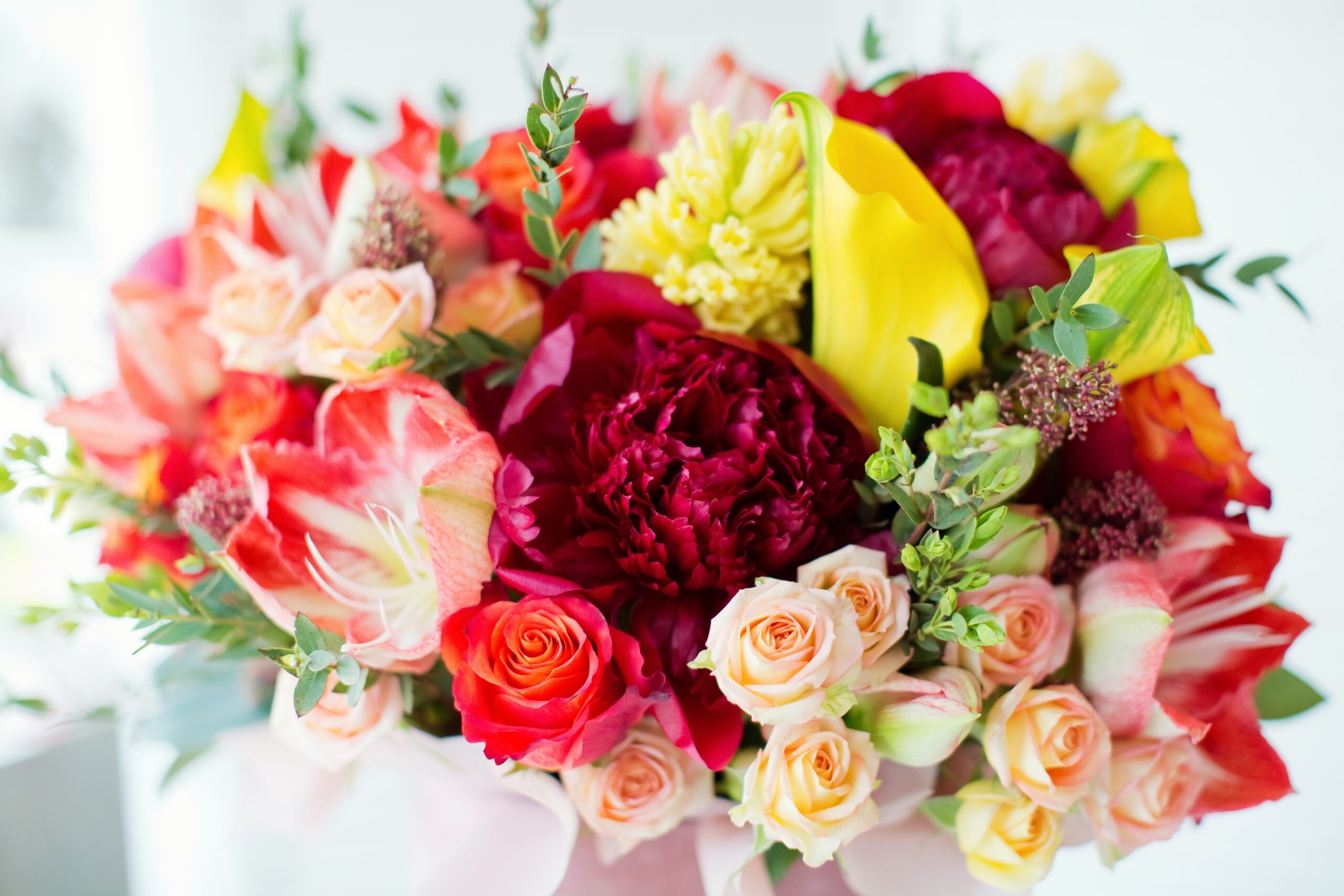 Hope in Full Bloom: Why Your Support Matters Now More Than Ever